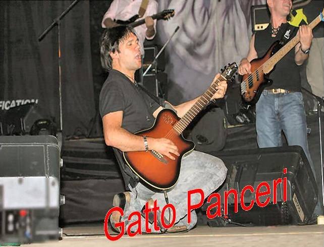 Gatto Panceri